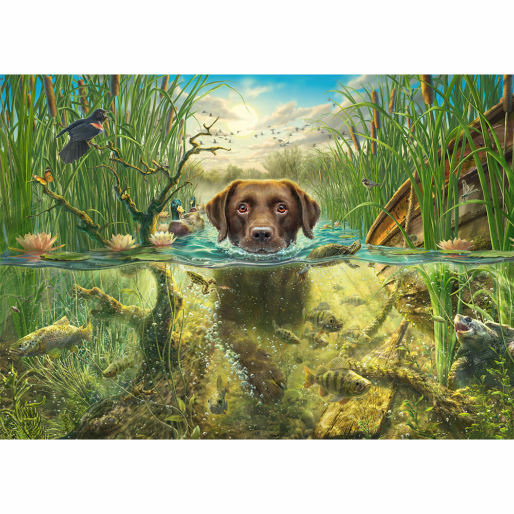Schmidt Spiele Hundeliebe, brauner Labrador im kühlen Nass, Mark Frederickson, Puzzle, Erwachsenenpuzzle, 1000 Teile, 58572