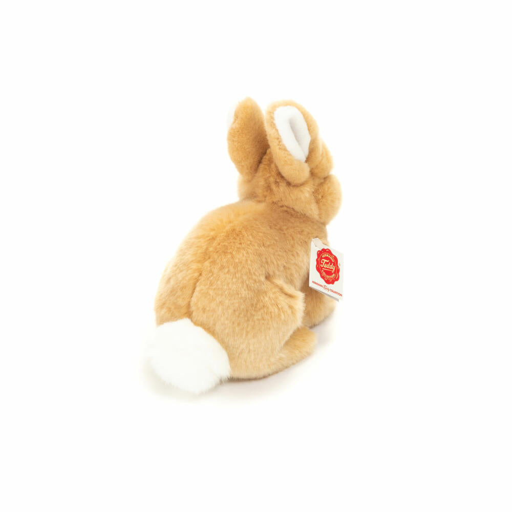 Teddy Hermann Hase sitzend, Kuscheltier, Stofftier, Plüschtier, Beige, 20 cm, 937265