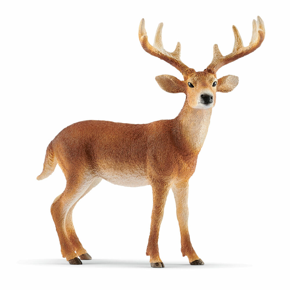 Schleich Wild Life White-tailed Deer, White-tailed Deer, Wild Animal, Toy Figure, 10.8 cm, 14818