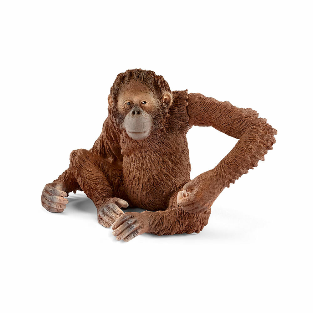 Schleich Wild Life Orang-Utan Weibchen, Affe, Wildtier, Spielfigur, Spielzeug, 14775