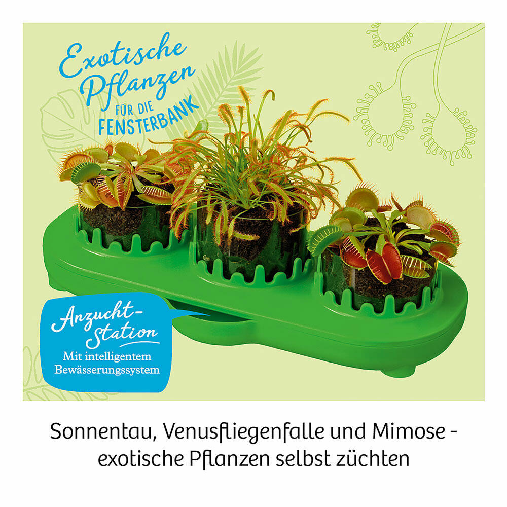 KOSMOS Fleischfressende Pflanzen, Garten, Anpflanzen, Spielen, Bauen, Entdecken, ab 8 Jahre, 632137