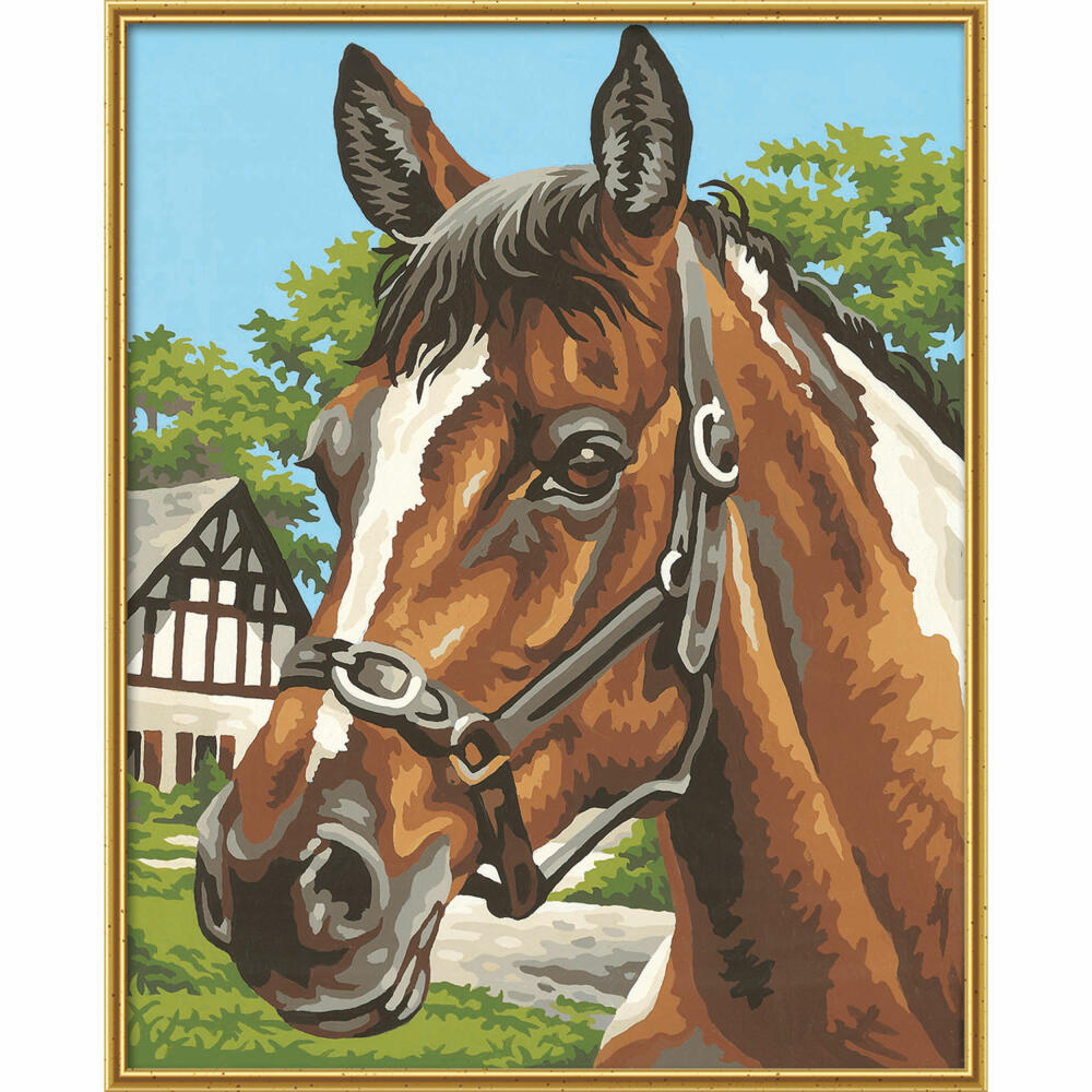 Schipper Painting by Numbers Horse Portrait, MNZ, Painting, Painting Set, 24 x 30 cm, 609240381