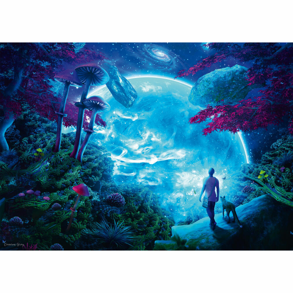 Schmidt Spiele Puzzle Himmelsfantasie, Cameron Gray, Erwachsenenpuzzle, 1000 Teile, 58525