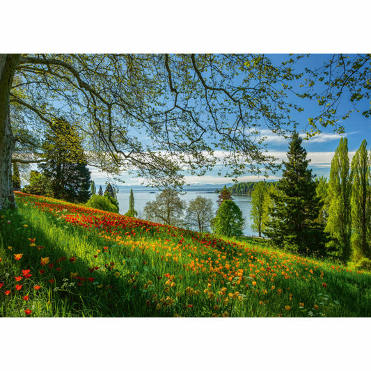 Schmidt Spiele Frühlingsallee zur Tulpenblüte Insel Mainau, Standard Puzzle, Erwachsenenpuzzle, 1000 Teile, 58967