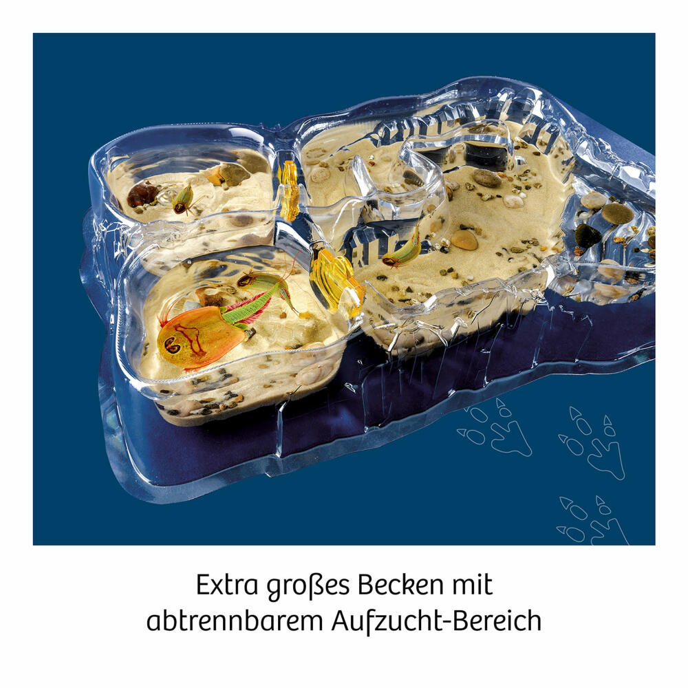 KOSMOS Triops World INT, Experimentierkasten, Urzeitkrebse, Aufzucht, ab 8 Jahren, 617547