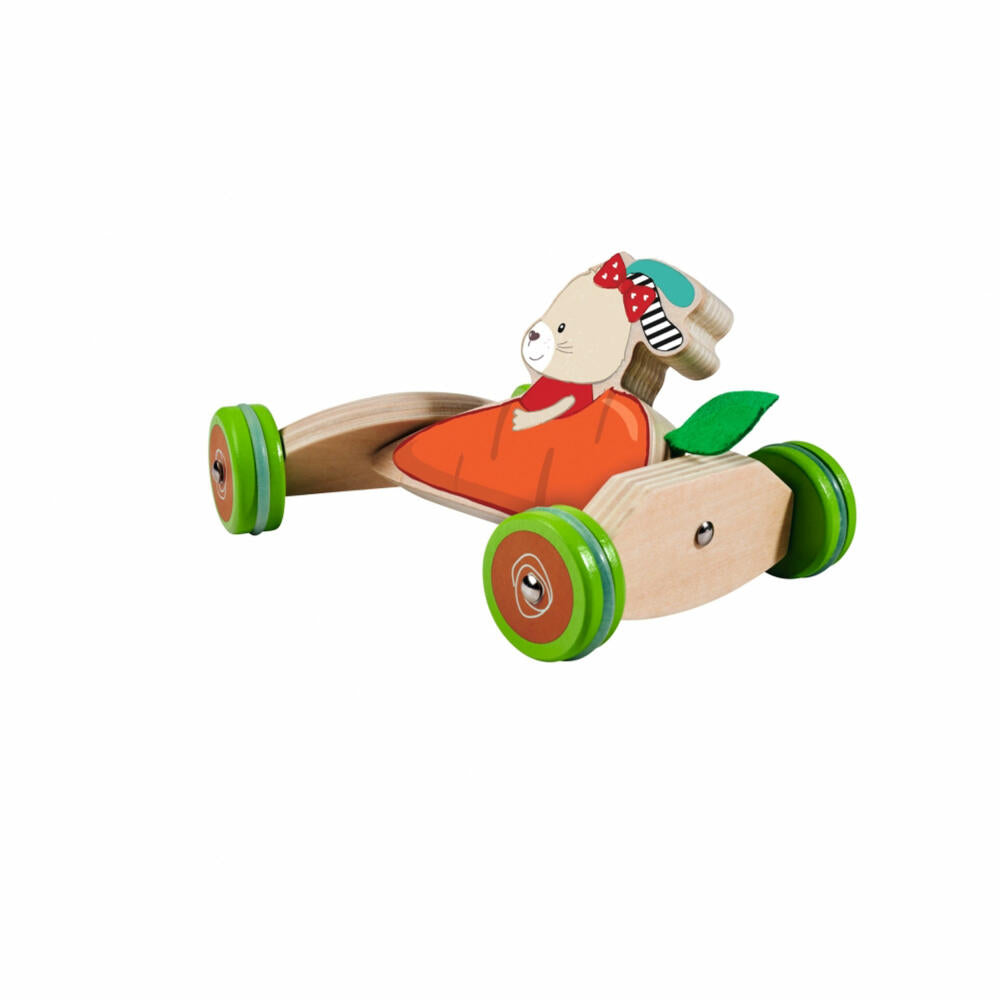 Eichhorn push vehicle, push toy, vehicle, children's toy, children's toy, 100005468