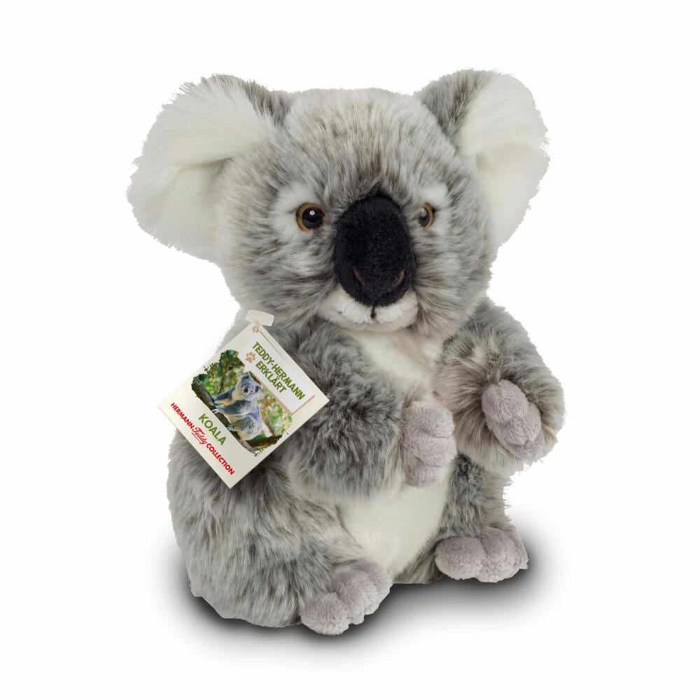 Teddy Hermann Koala Bear, Cuddly Toy, Stuffed Toy, Plush Toy, Wild Animal, Special Edition Teddy-Hermann Explains, Plush, Grey, 21 cm, 91424