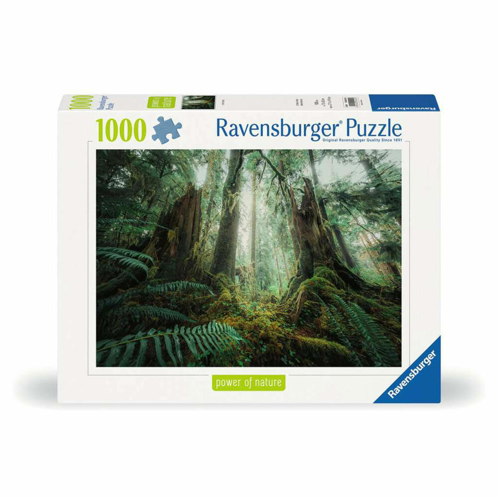 Ravensburger Puzzle Faszinierender Wald, Erwachsenenpuzzle, 1000 Teile, 12000292