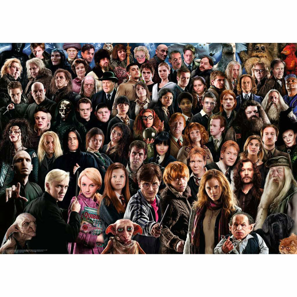 Ravensburger Puzzle Challenge Harry Potter, Erwachsenenpuzzle, 1000 Teile, 12000457