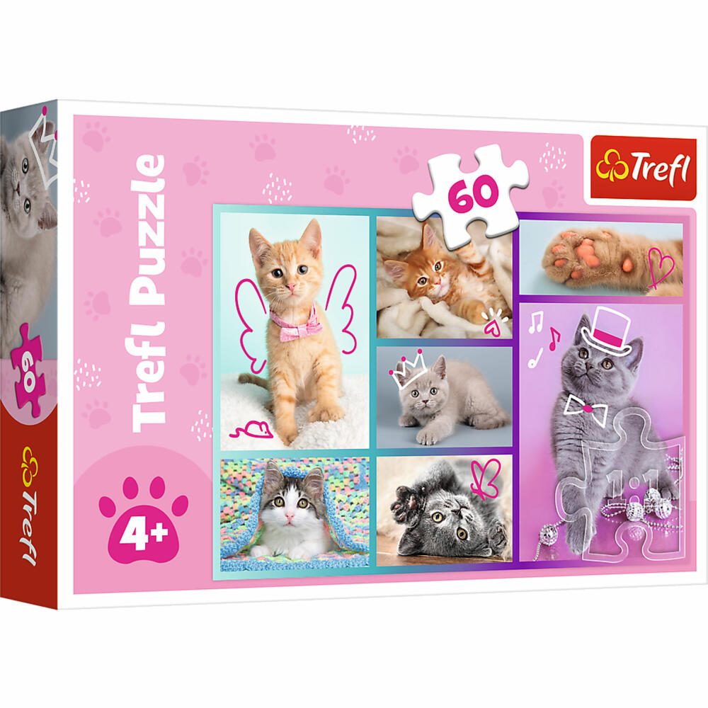 Trefl Puzzle Katzen, Kinderpuzzle, 60 Teile, 33 x 22 cm, 17373