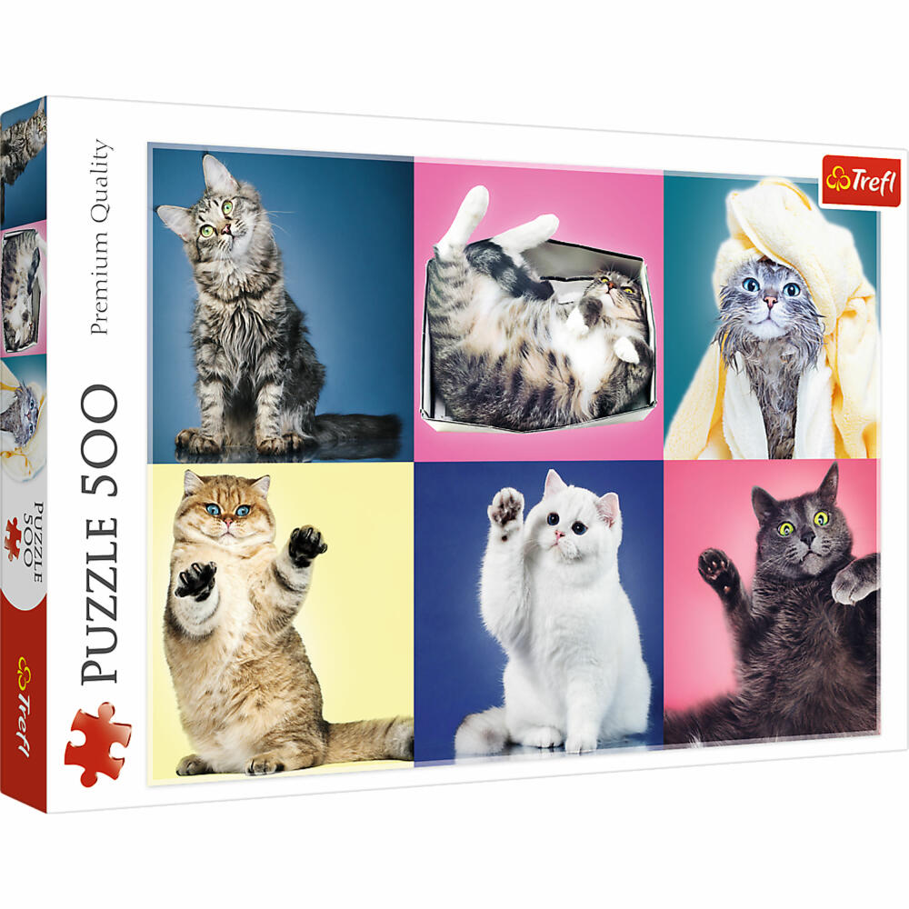 Trefl Puzzle Katzen, Kätzchen, Tiere, 500 Teile, 48 x 34 cm, 37377