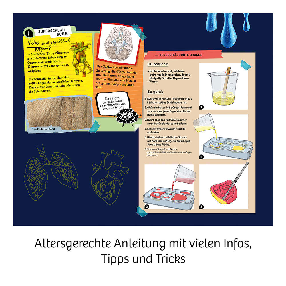 KOSMOS Fun Science Glibber-Organe, Experimentieren, Basteln, Lernen, Entdecken, ab 8 Jahren, 654184