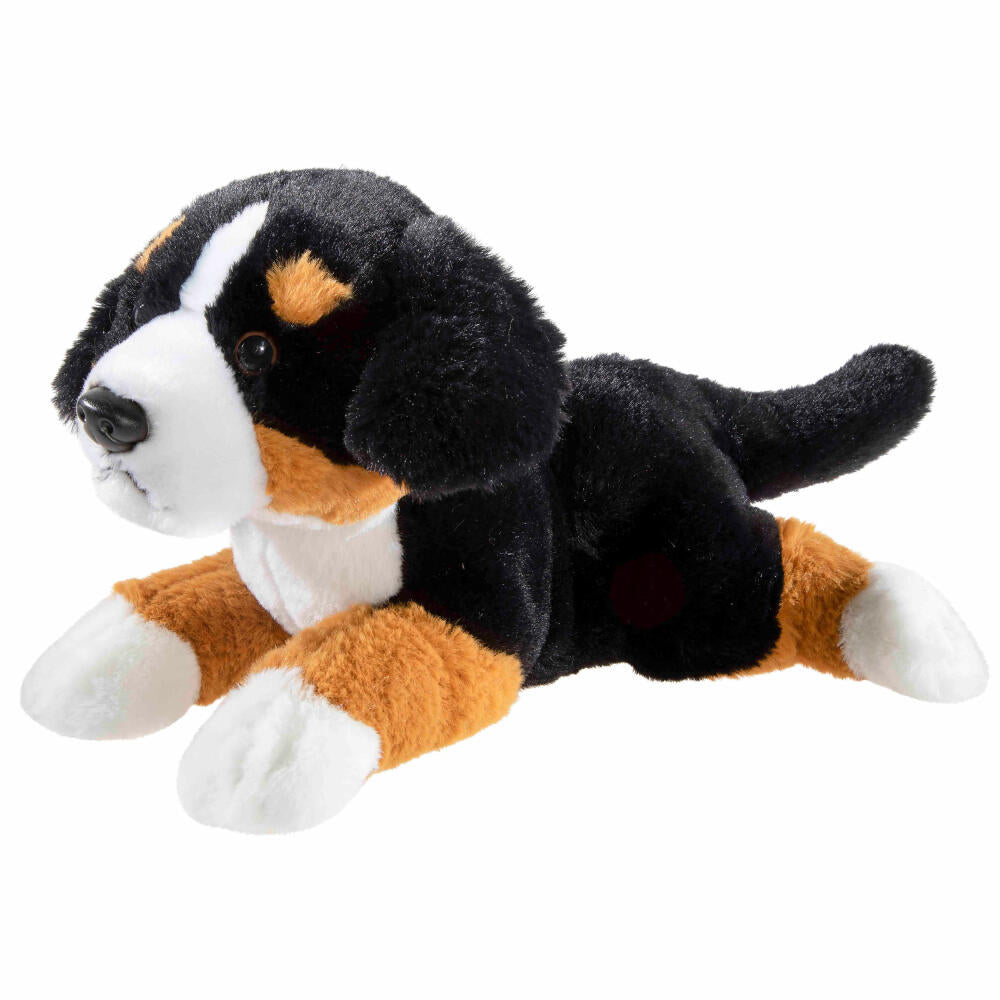 Heunec Puppy Sennehund liegend, Kuscheltier, Plüschtier, Stofftier, 30 cm, 291379