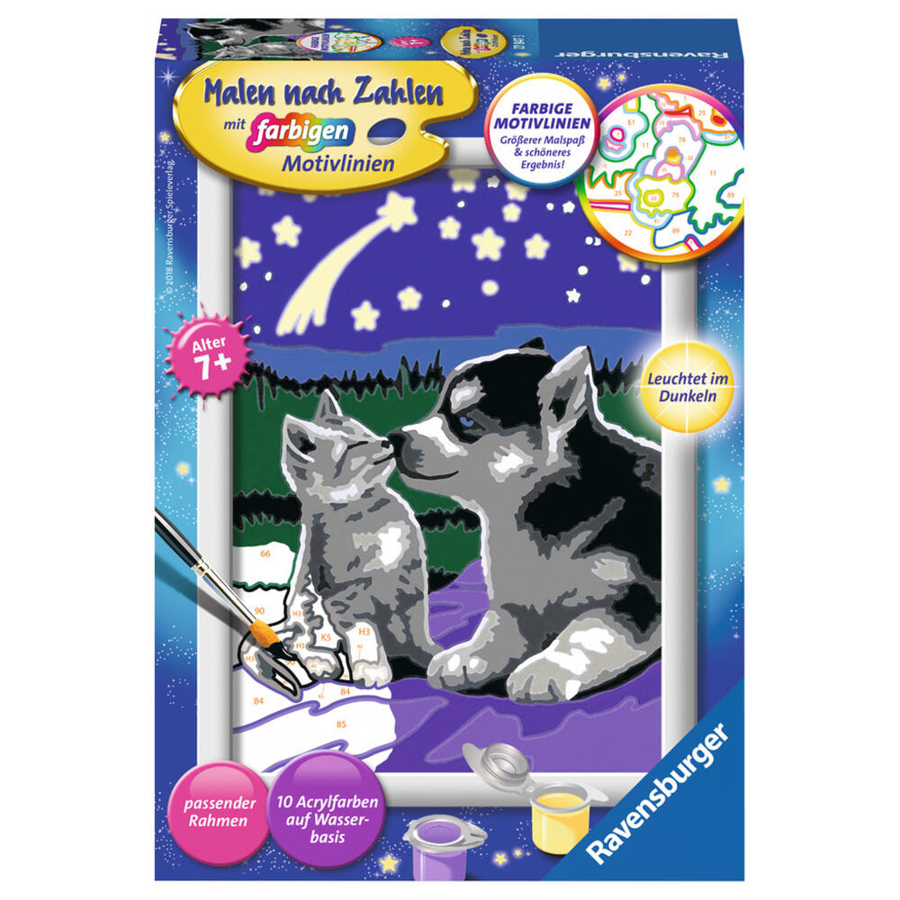 Ravensburger Malen Nach Zahlen Hund und Katze, Mal Set, Malvorlage, Vorlage, Bild, Kinder, Farbige Motivlinien, 27847 3