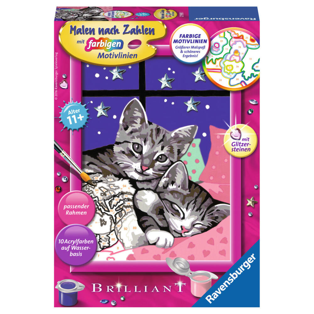 Ravensburger Malen Nach Zahlen Schlafende Katzen, Mal Set, Malvorlage, Vorlage, Bild, Kinder, Farbige Motivlinien, 27995 1