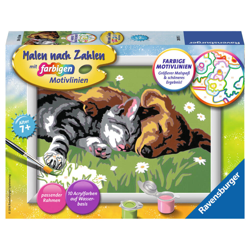 Ravensburger Malen Nach Zahlen Tiefer Schlaf, Mal Set, Malvorlage, Vorlage, Bild, Kinder, Farbige Motivlinien, 28015 5