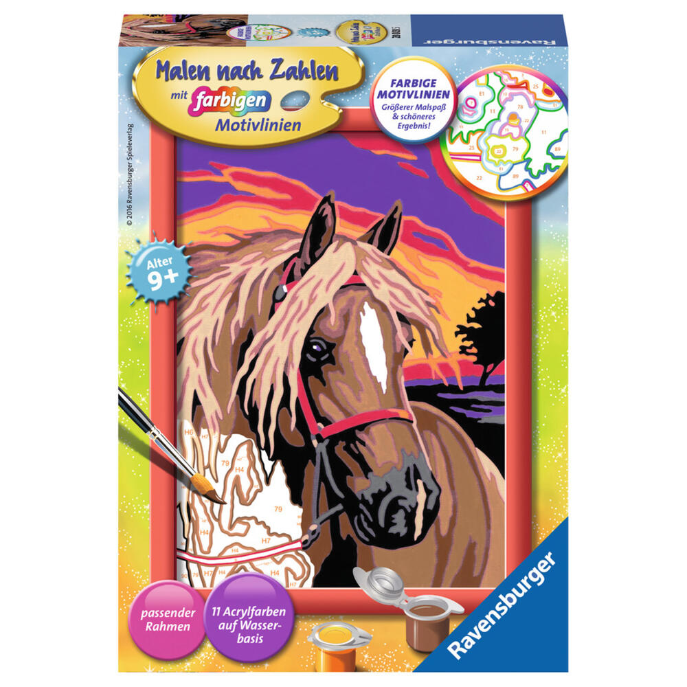 Ravensburger Malen Nach Zahlen Pferdetraum, Mal Set, Malvorlage, Vorlage, Bild, Kinder, Farbige Motivlinien, 28028 5
