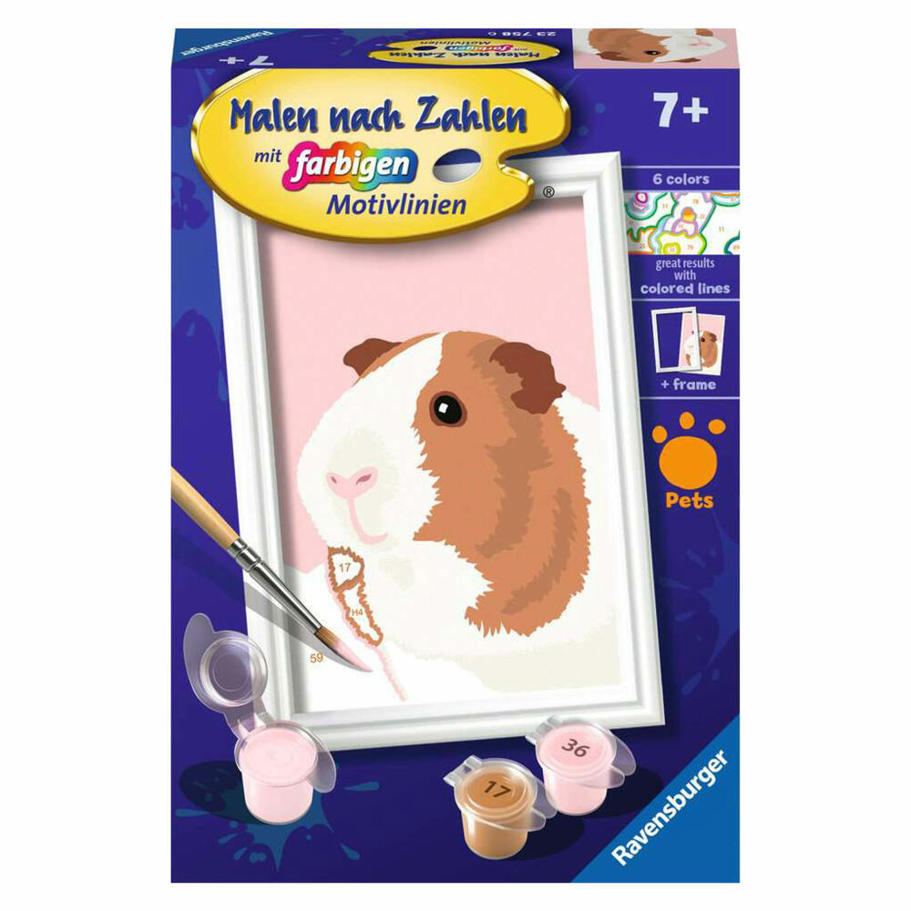 Ravensburger Malen nach Zahlen Niedliches Meerschweinchen, Malset, Malvorlage, Malen, 23758