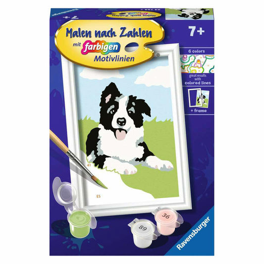 Ravensburger Malen nach Zahlen Border Collie Welpe, Malset, Malvorlage, Malen, 23759