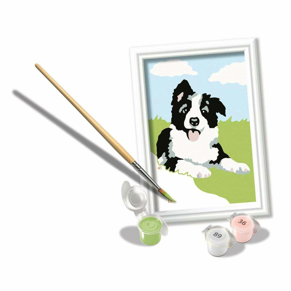Ravensburger Malen nach Zahlen Border Collie Welpe, Malset, Malvorlage, Malen, 23759