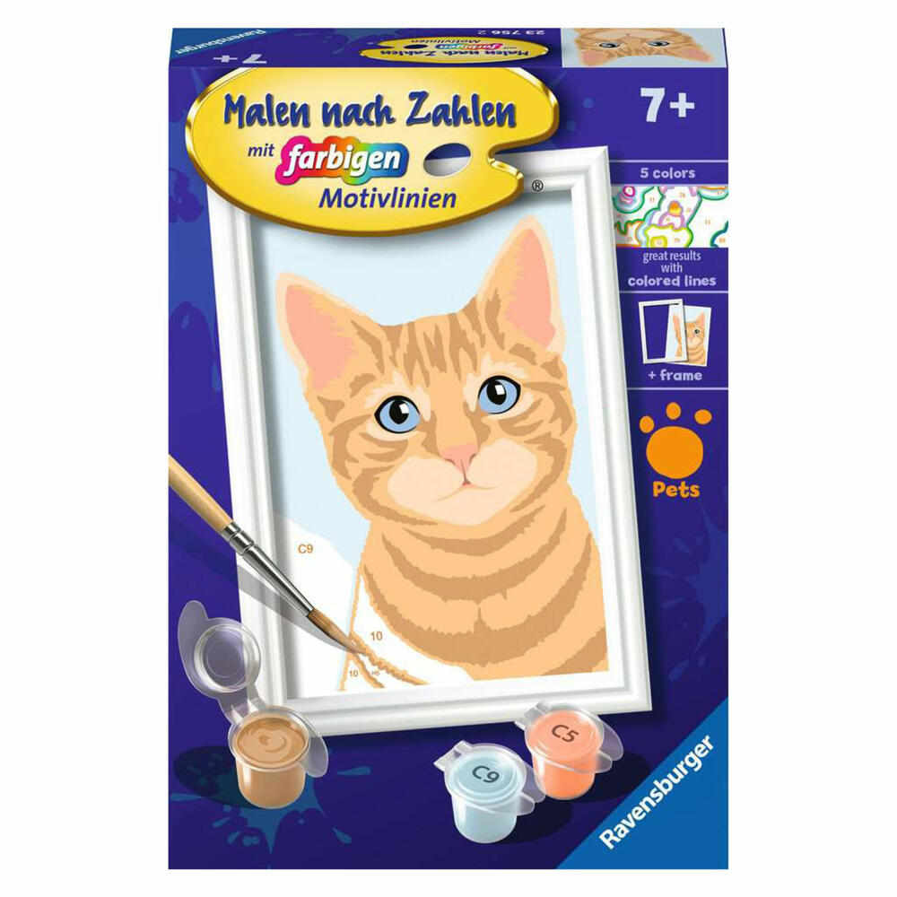 Ravensburger Malen nach Zahlen Niedliche Katze, Malset, Malvorlage, Malen, 23756
