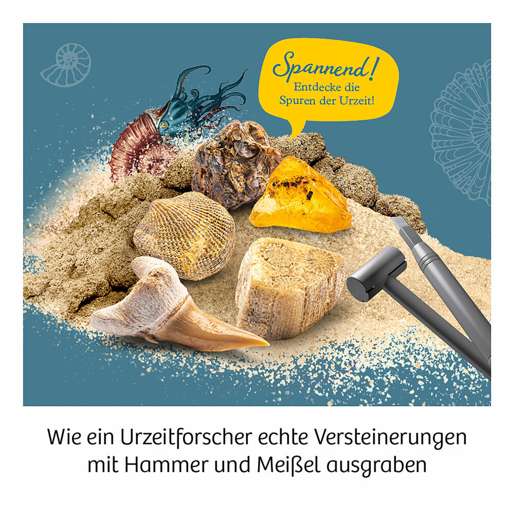 KOSMOS Fossilien, Fossilien Ausgrabungs-Set, Experimentierkasten, Experimentier Kasten, ab 7 Jahren, 657918