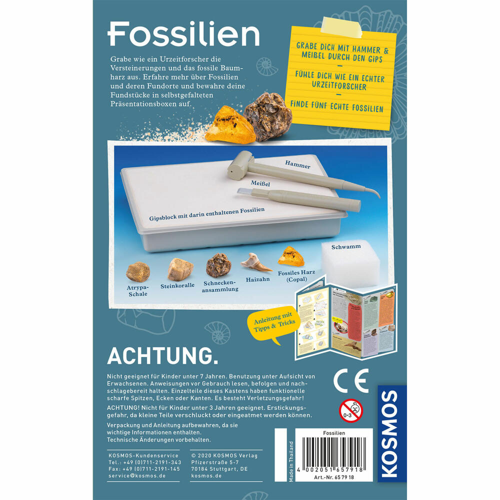 KOSMOS Fossilien, Fossilien Ausgrabungs-Set, Experimentierkasten, Experimentier Kasten, ab 7 Jahren, 657918