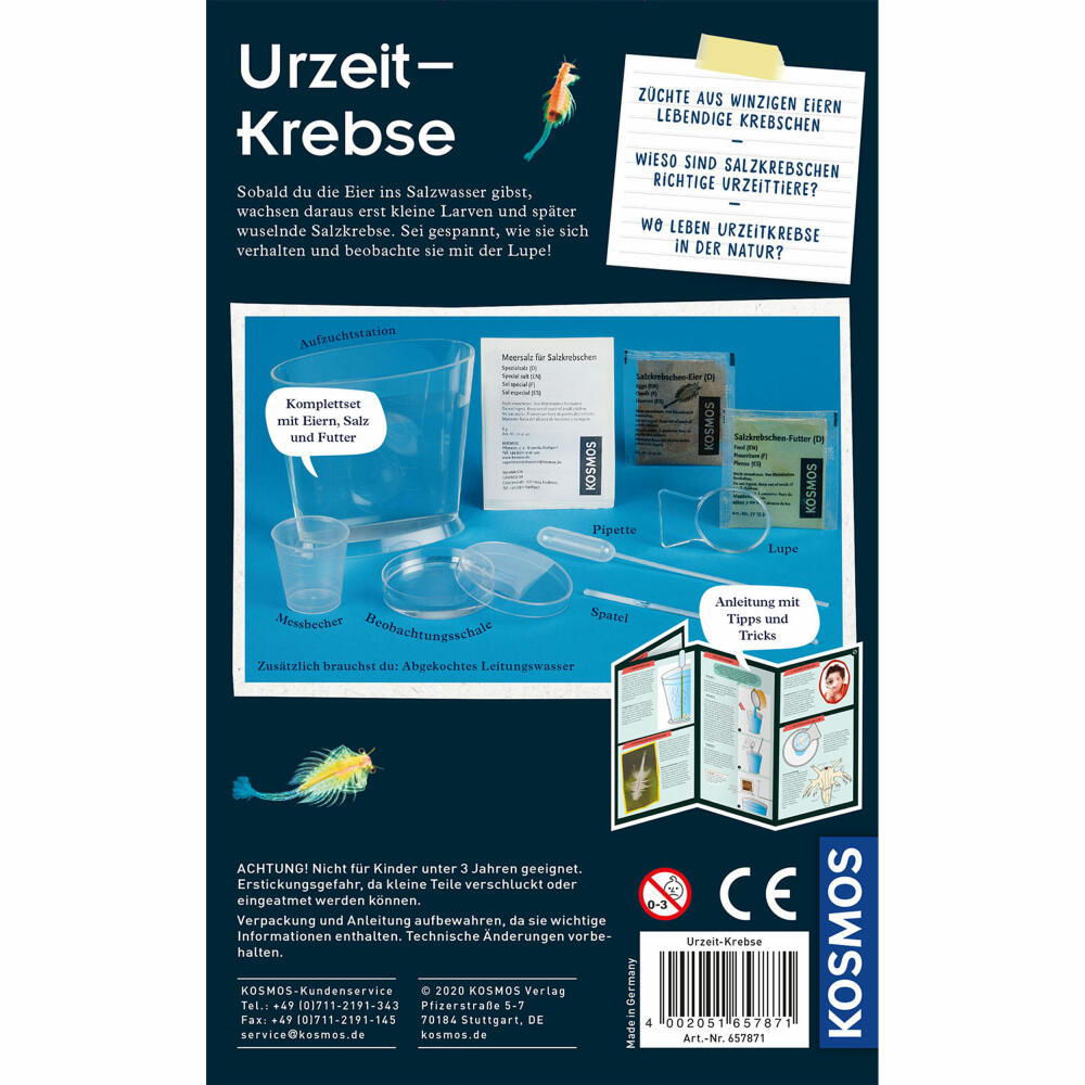 KOSMOS Urzeit-Krebse, Experimentierkasten, Experimentier Kasten, Urzeitkrebse selbst züchten, ab 8 Jahren, 657871
