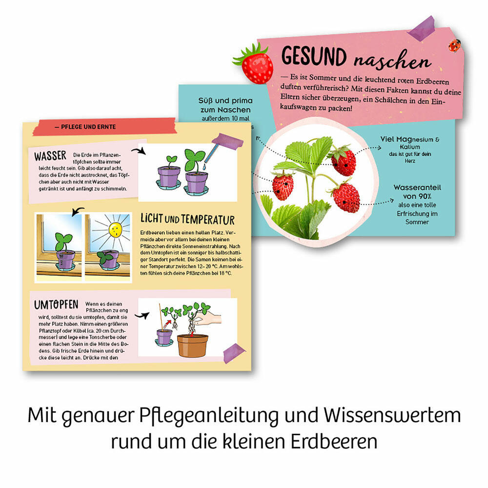 KOSMOS Fairy Strawberries, Garden, Nursery, Plants, Berries, Discover, from 6 years, 657819