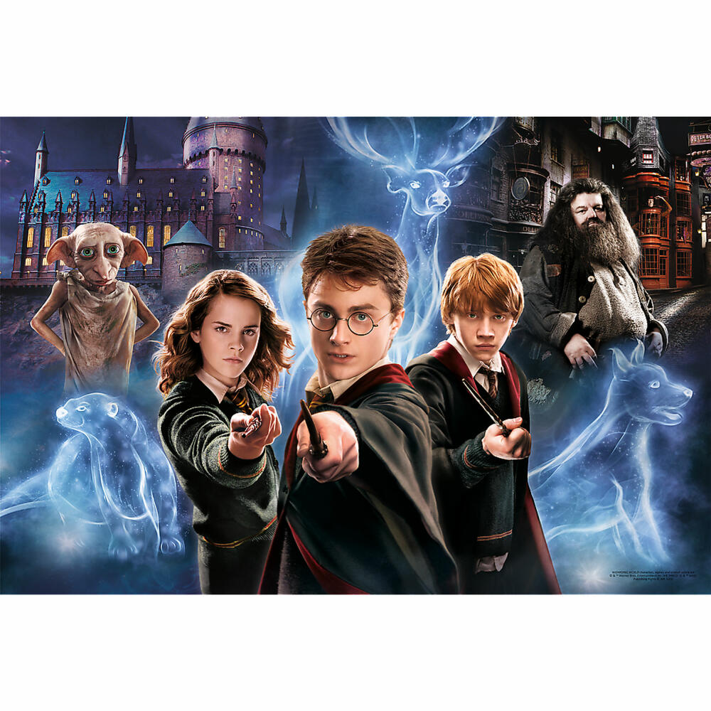 Trefl Junior Super Shape XL Puzzle Harry Potter, 160 Teile, 60 x 40 cm, 50034