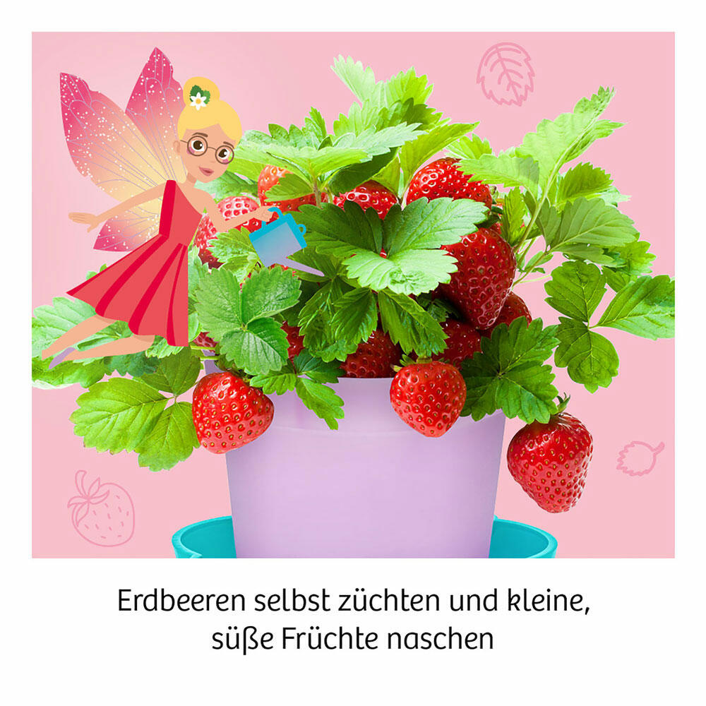 KOSMOS Fairy Strawberries, Garden, Nursery, Plants, Berries, Discover, from 6 years, 657819