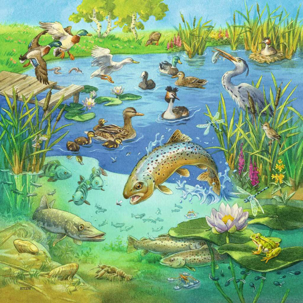 Ravensburger children's puzzle Animals in their habitats, puzzle, 3x49 pieces, 08050