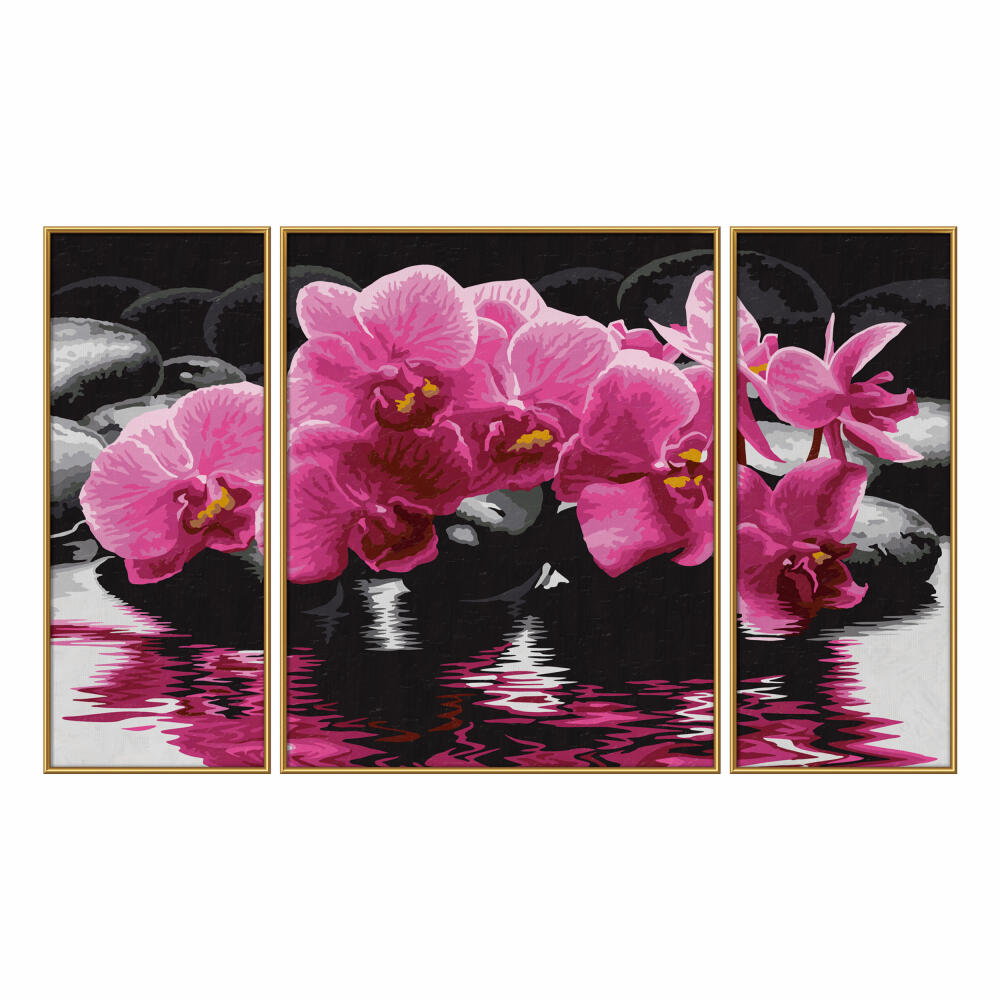 Schipper Malen nach Zahlen, Orchideen, Triptychon, Zeichnen, Dekoration, Pappe, 41 cm, 609260603