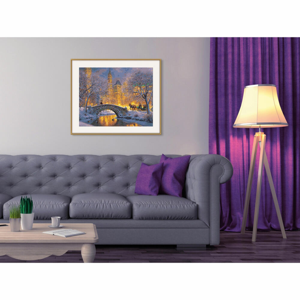 Schipper Painting by Numbers Silent Night in Central Park, Master Class Premium, Coloring Page, Wall Picture, 40 x 50 cm, 609130874