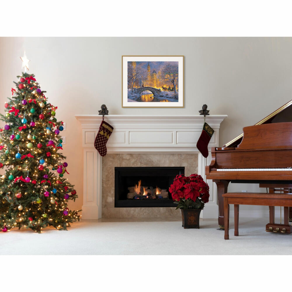 Schipper Painting by Numbers Silent Night in Central Park, Master Class Premium, Coloring Page, Wall Picture, 40 x 50 cm, 609130874