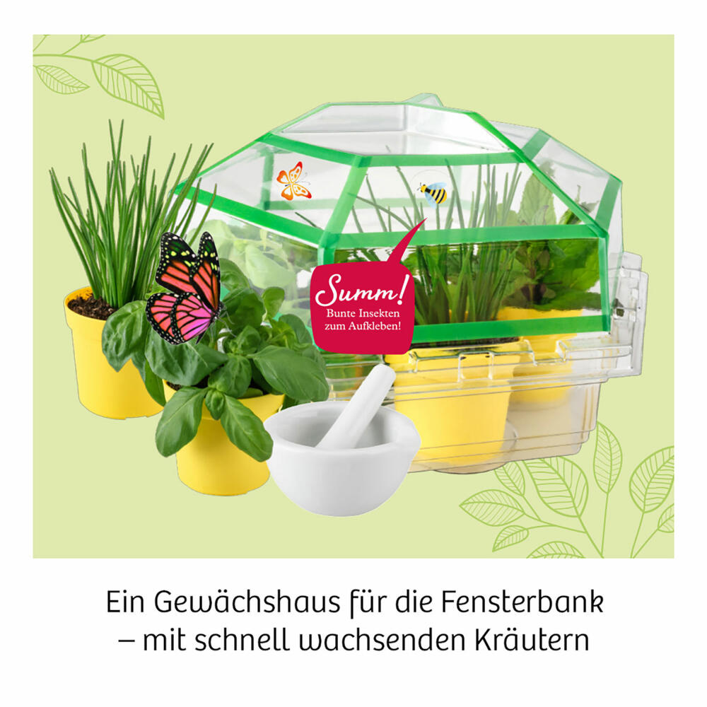 KOSMOS Kräuter-Garten, Garten, Anpflanzen, Spielen, Bauen, Entdecken, ab 6 Jahre, 632090
