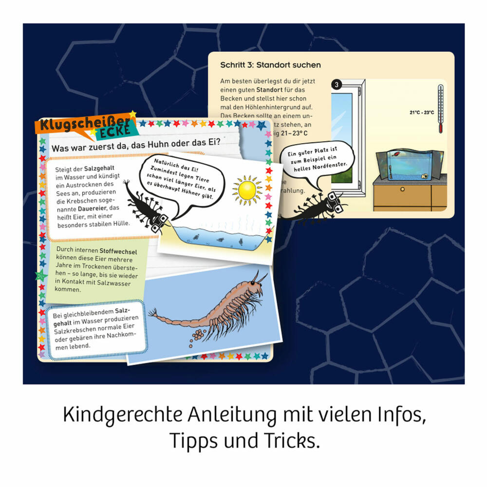 KOSMOS Fun Science Wuselnde Salzkrebse Experimentierkasten, Urzeitkrebse Züchten, Salzkrebse, 654160