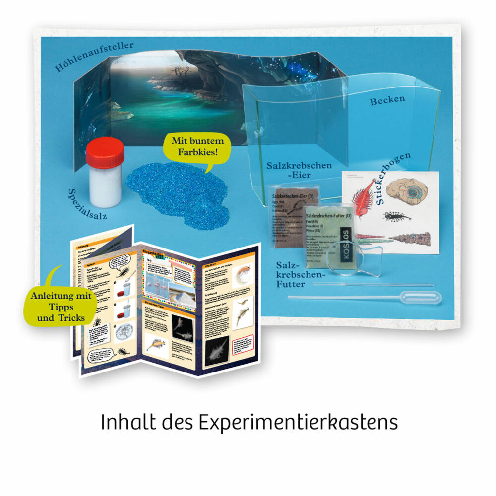 KOSMOS Fun Science Wuselnde Salzkrebse Experimentierkasten, Urzeitkrebse Züchten, Salzkrebse, 654160