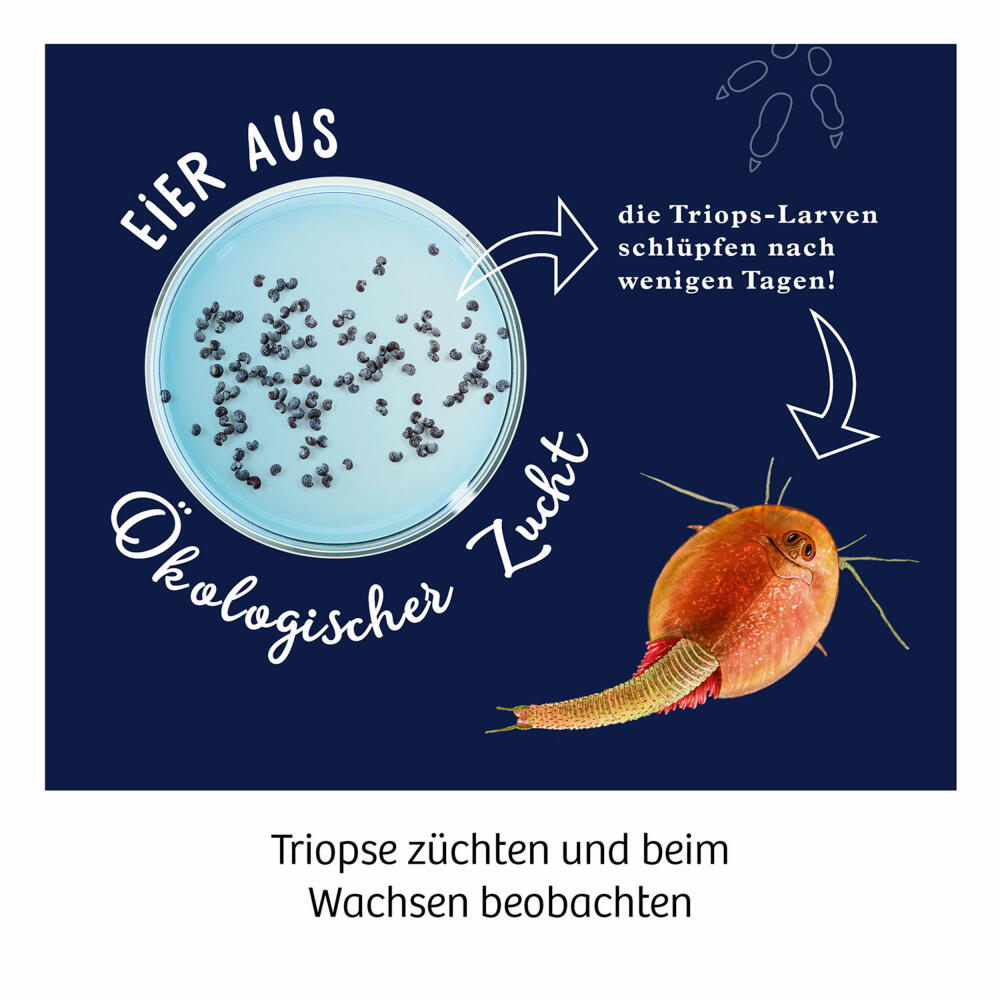 KOSMOS Fun Science Triops züchten, Experimentierkasten, Triops-Zucht, Anzuchtset, ab 8 Jahren, 637231