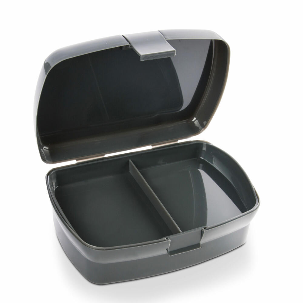 NICI Dragonia Brotdose, Butterbrotsdose, Box, Frischhaltebox, Brot Dose, Lunchbox mit Einsatz, Schwarz, 47161