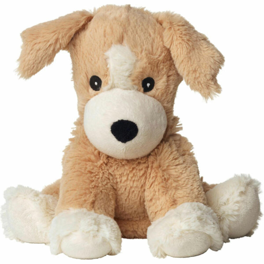 Warmies Our puppy