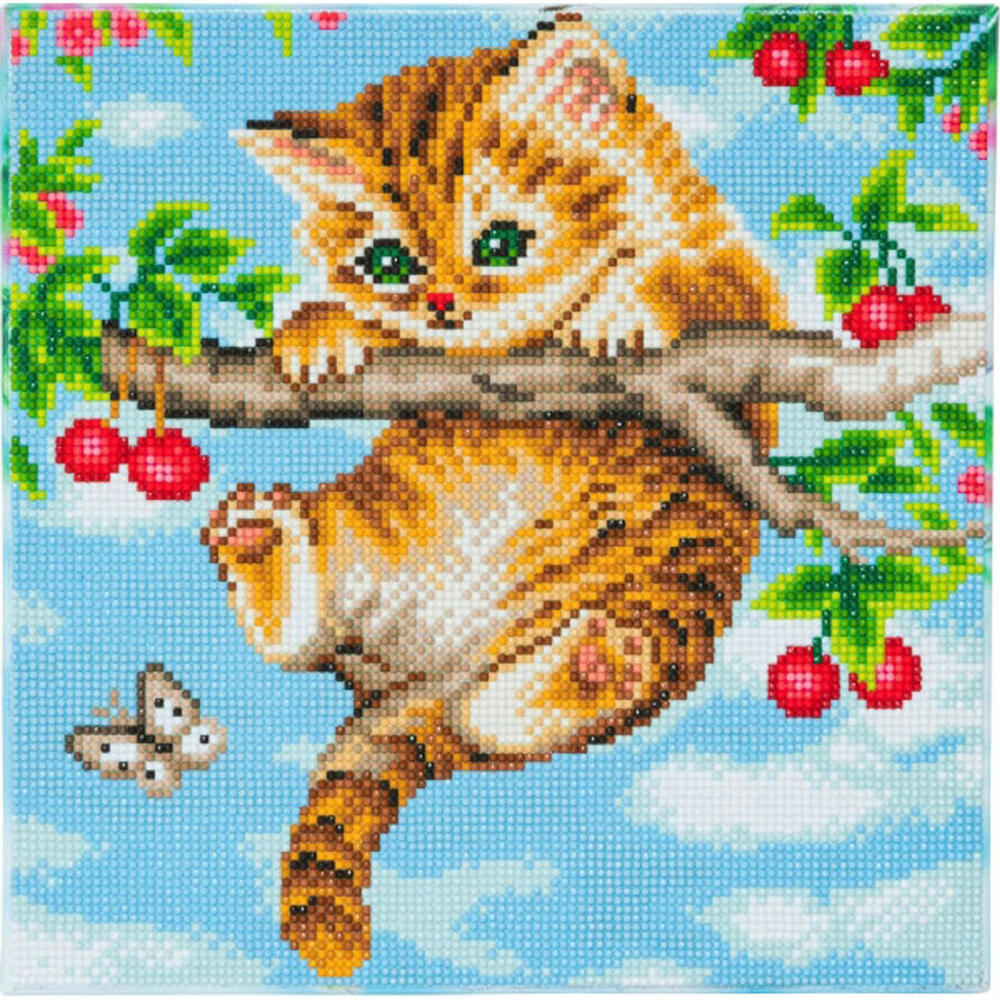 Crystal Art Canvas Kitten with Cherries 30x30 cm