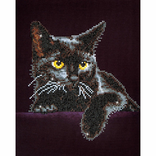 Diamond Dotz Cat, Diamond Painting, Creative Set, Painting with Diamonds, from 8 years, 27.9 x 35.5 cm, DD5-001