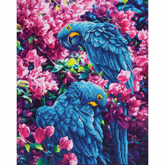 Diamond Dotz parrot 42 x 52 cm
