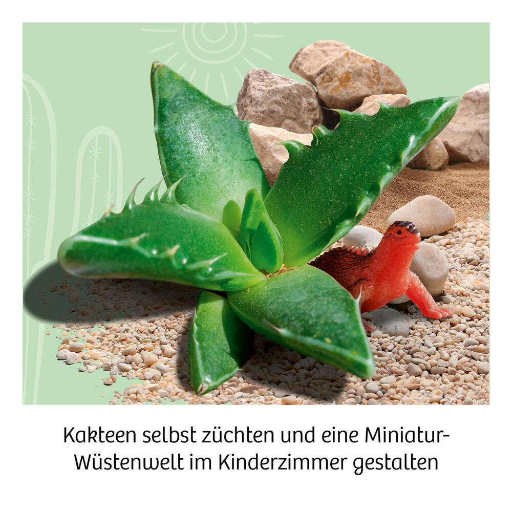 KOSMOS Bring-along Experiments Cactus Desert, Experiment Set, Cacti, Children, from 6 years, 658250