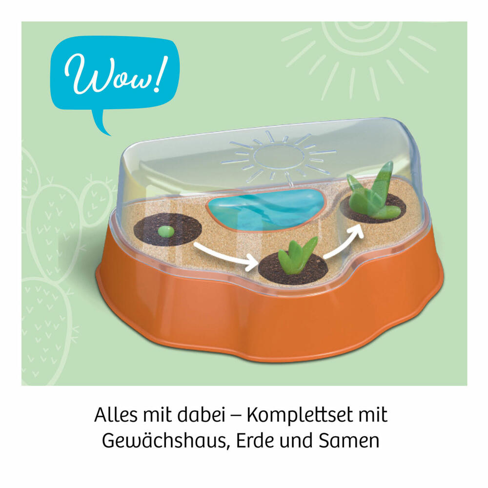 KOSMOS Bring-along Experiments Cactus Desert, Experiment Set, Cacti, Children, from 6 years, 658250