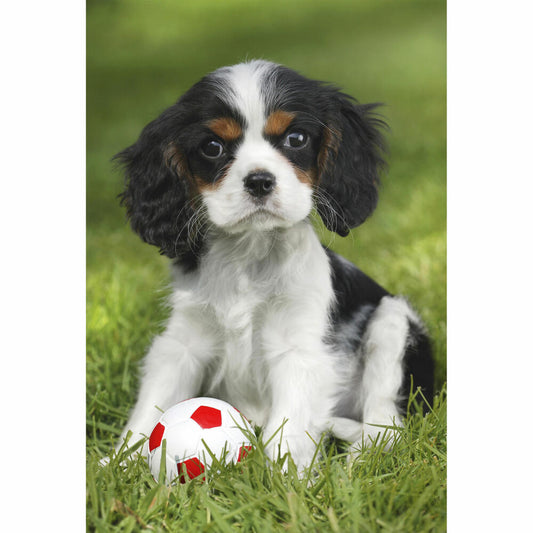 Schmidt Spiele Children's Puzzle Standard My Favorite Pet Babies, Children's Puzzle, 3 x 48 pieces, 56361