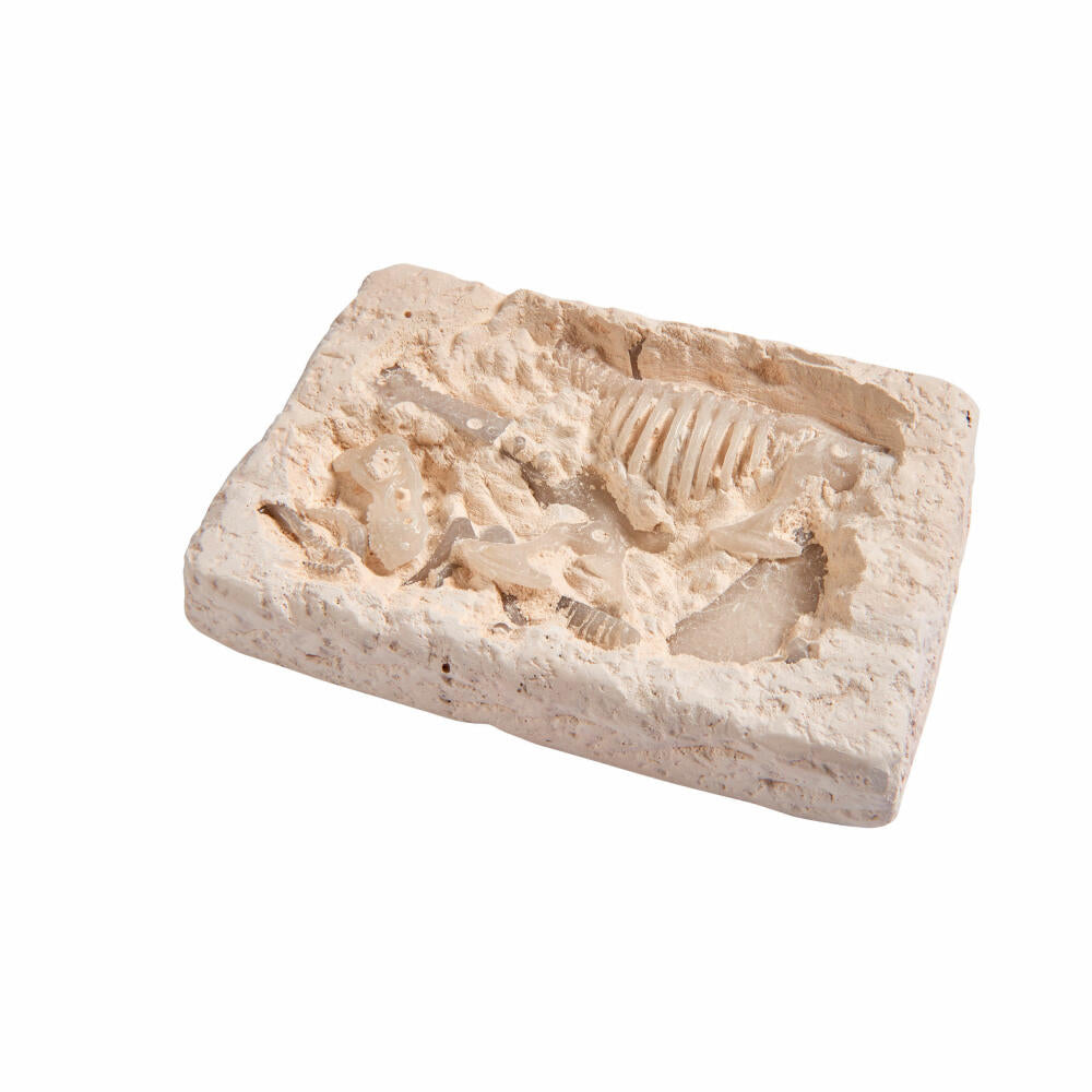 Simba Glow In The Dark T-Rex Excavation Set, Dinosaur, Dino Skeleton, Excavation, Toy, from 3 Years, 104342403