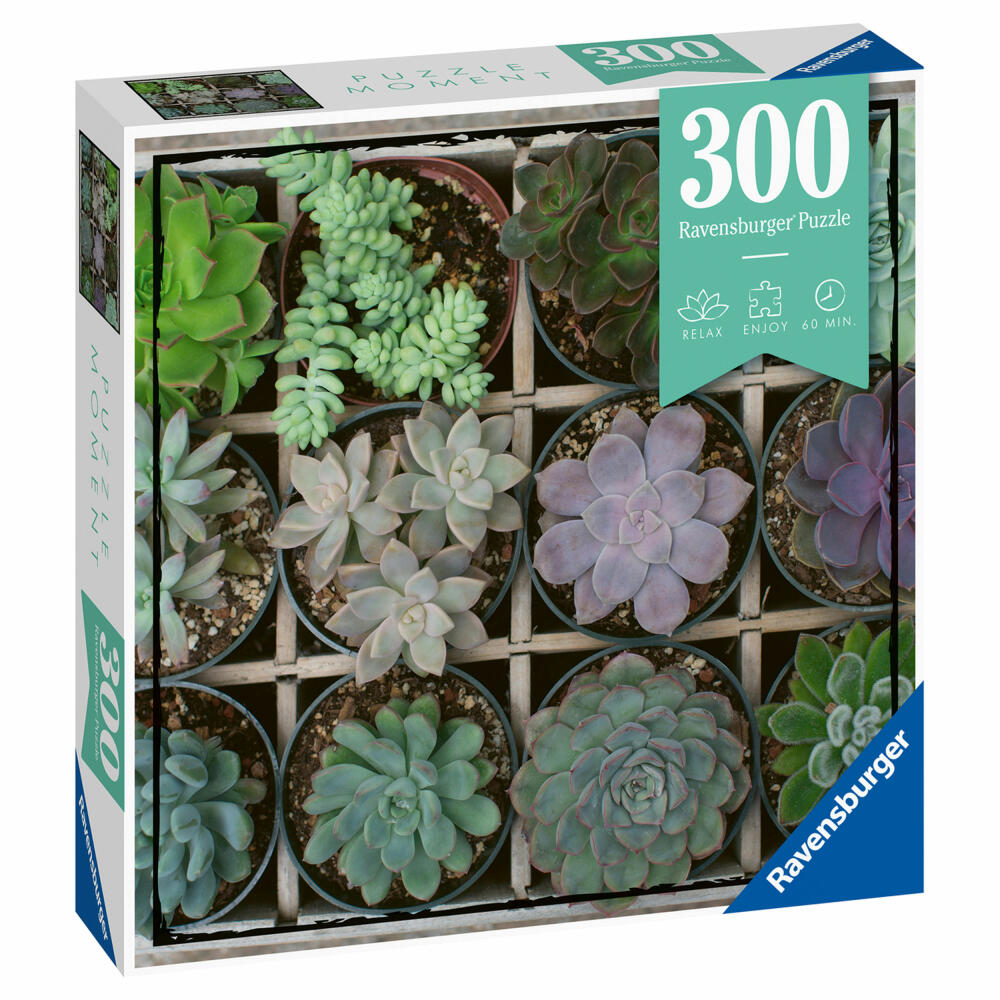 Ravensburger Puzzle Moment Green, Adult Puzzle, Children's Puzzle, Puzzles, 300 Pieces, 12967