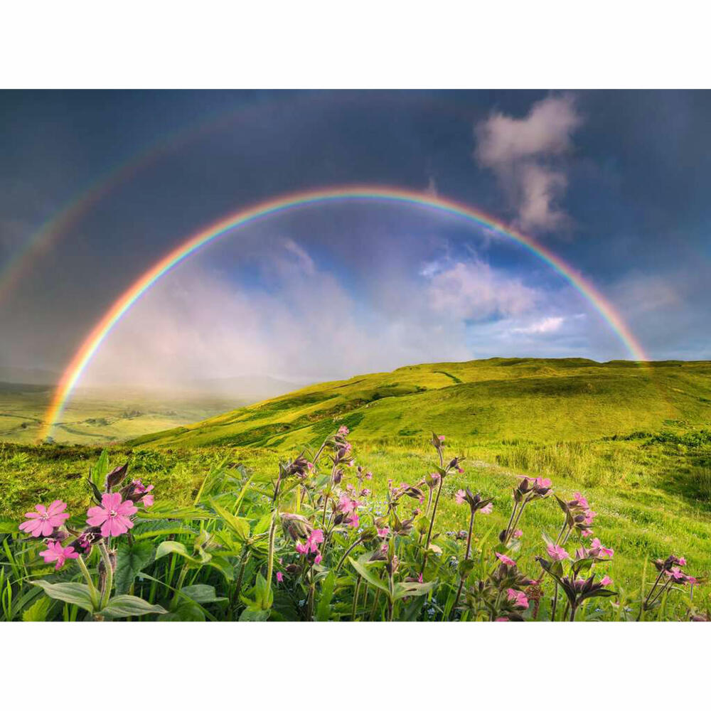 Ravensburger Puzzle Spektakulärer Regenbogen, Erwachsenenpuzzle, 1500 Teile, 12000800